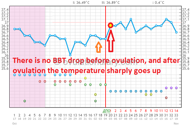 Basal Body Temperature