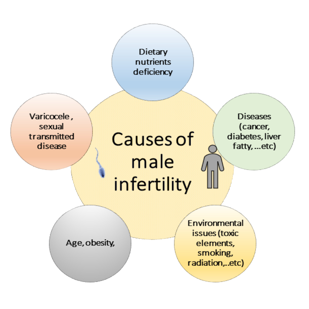 Causes of male infertility