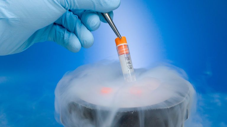 Embryo Freezing